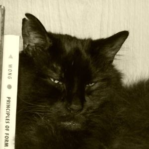 Meet your Posher, Kianna